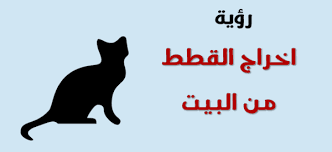 ما تفسير رؤية القطط في المنام ومحاولة اخراجها من البيت home decor decals decor home decor