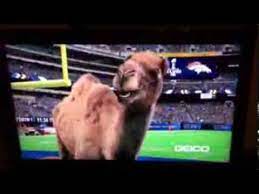 Jordan (amazon alexa), mila kunis, ashton kutcher and shaggy (cheetos); Caleb The Geico Camel Super Bowl Pregame Commercial Youtube