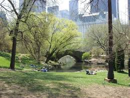 Harlem meer new york, ny 10029. Central Park New York United States New York Afar