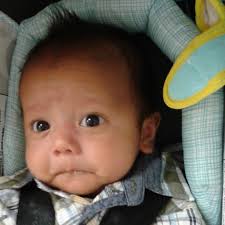 GISD Organizational Learning : Directory