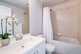 Kill black mould how to clean mould stop mould growing mold. What You Need To Know About Black Mold In Your Bathroom