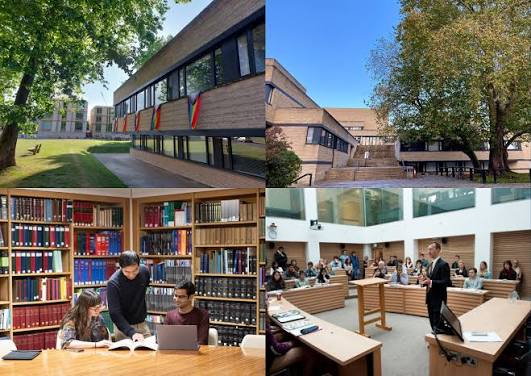 Faculty of Law