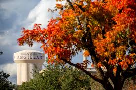 Watching the changing colors of fall leaves is always interesting, and even more so when you recognize the species of trees and begin to understand some red maple is one of the most common trees in northeastern north america, and one of the most colorful in autumn. Why Do Trees Change Color Texas A M Today