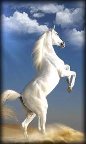 Make your android phone a unique and awesome. Free Download Horse Live Wallpaper App Download For Android 480x800 For Your Desktop Mobile Tablet Explore 49 Horse Wallpaper Download Hd Wallpaper Downloads Free Free Desktop Themes Wallpaper Downloads