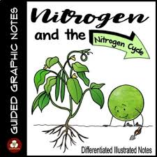 Natural water cycle coloring sheet. Nitrogen Cycle Coloring Worksheets Teaching Resources Tpt