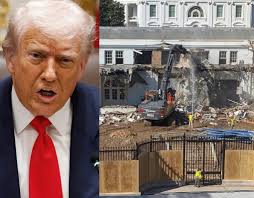 Sharon Harney (@SharonHarney5)