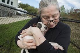 Not all turtle species spend time outside of. Poverty Forces People To Surrender Their Pets It Doesn T Have To Be This Way