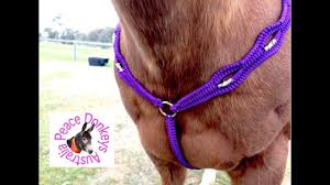 I coach my daughter's u12 softball team and as sort of a fun thing for her i made. How To Make A Beaded Paracord Breast Plate Collar For A Horse Youtube