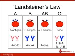 Image result for Plasma Transfusion