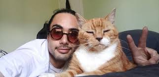 Lost cat Padi, small bisson/schneider, Ayreton Dr area