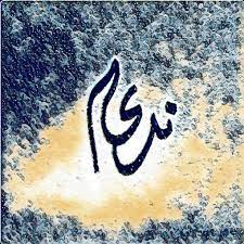 درة اسم ندى cat art wall collage art