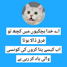 We did not find results for: If You Did Not Do Your Homework Meme Funny Jokes In Urdu Seekhly Poetry In Urdu Sad Poetry