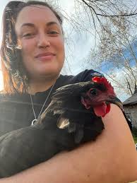 Will chickens be ok if enclosed in a coop with no light during extremely  cold temperatures, and should a light or heat source be added?