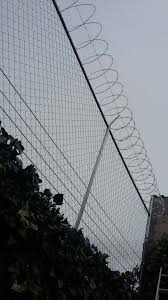 Concertina Y Malla Ciclonica Presupuestos Sin Costos Al 222 1 44 52 56 Whatsapp 22 26 13 11 25 Patios Traseros Patios Casas