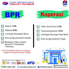 Berikut ini yang tidak termasuk dalam klasifikasi gymnospermae yaitu. Bpr Tidak Sama Dengan Koperasi