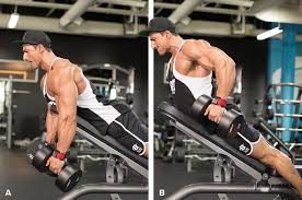 Its neutral (palms in) grip creates less tension on the shoulders and biceps/forearms, thus allowing full activation of the lats from top to bottom. V Taper Back Workout Hot Sale Up To 54 Off Www Ldeventos Com