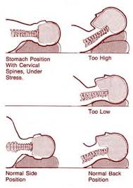 Pin On Educational Info About Chiropractic