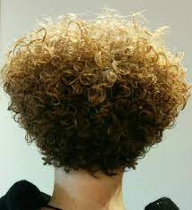 Prachtige Krullen Na Een Krullenknipbehandeling Krullen Geknipt In Een Mooi Rond Model Bij Krullenkapp Curly Hair Styles Curly Hair Styles Naturally Hair Blog