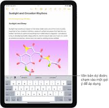 Sử dụng văn bản dự đoán trên iPad - Bộ phận hỗ trợ của Apple (VN)