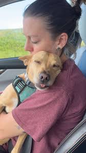 For the 400th time....I'm not...tired..." -Pita