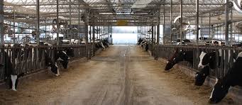 Maybe you would like to learn more about one of these? Penn Vet Msc Animal Welfare Behavior