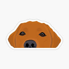 Our labradors are evaluated for temperament, health tested with embark for over 190 genetic conditions and. Labrador Retriever Stickers Redbubble