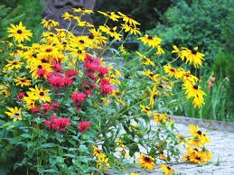 Bark, sawdust, manure, leaf mold, compost and peat moss are among the organic amendments commonly used to improve clay soil. Plants For Clay Soil Saga