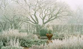Anatomy Of A Garden Design Laid Bare Winter Garden Garden Design Herb Garden Design