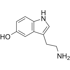 Image result for Serotonin