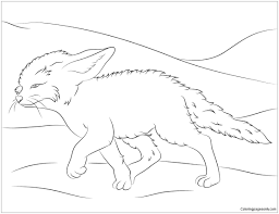 Fox cartoon drawing and coloring for kids and everyone. Desert Fox Coloring Pages Coloring Home