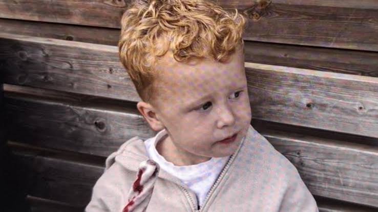Search for Noah Woods ends in grief