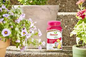 Check spelling or type a new query. Buy Osmocote Plus Outdoor And Indoor Smart Release Plant Food Online At Low Prices In India Amazon In