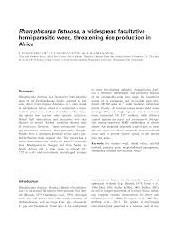 Image result for Rhamphicarpa brevipedicellata