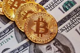 We all know what happened on wednesday. Trader Forecasting Bitcoin Price Bitcoins Bitcoin Dollars Bitcoin News Bitcoin Price Bitcoin Crypto Market