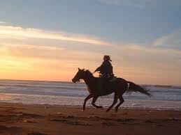 Outback Trail Rides Beach Rides Horseback Riding California Coast