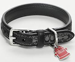 Irresistible Finds Coach For Pets Irresistible Pets Coach Dog Collar Dog Collar Cool Dog Collars
