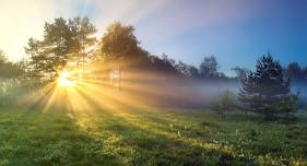 Early Morning Nature Stroll