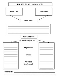 Aug 10, 2021 · the most important structures of plant and animal cells are shown in the diagrams below, which provide a clear illustration of how much these cells have in common. Plant Cell Vs Animal Cell Venn Diagram Worksheets Teaching Resources Tpt
