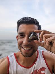 Wilmington Sharks new jersey and hat color way announced