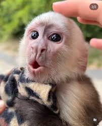 Mia Parrish (@miaparrishhh)