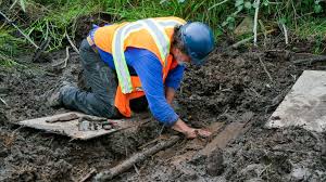 The Curse of Oak Island - We'll be back with a new episode next week.  #CurseOfOakIsland | Facebook