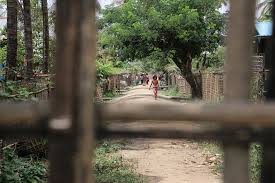 I live in las vegas, we have bamboo planted along back planter bed for privacy, it is the clumping type but it. The New Humanitarian In A Myanmar Village A Bamboo Fence Separates Rohingya And Rakhine Neighbours