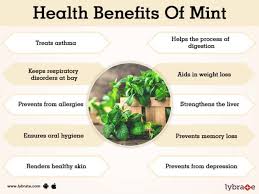 Also, your health care professional may be able to tell you about ways to prevent or reduce some of these side effects. Benefits Of Mint And Its Side Effects Lybrate