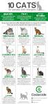 14 Best Hypoallergenic Cat Breeds for People With ...