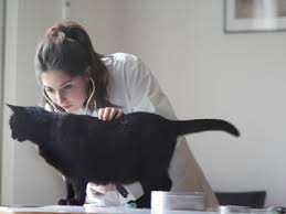 It can be bright red (upper digestive tract) or have the. What To Do If Your Cat Is Vomiting White Foam