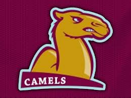 2A Midwest XC titles go to Atkins, West Stanly