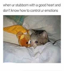 51 Funny Animal Pictures Meme Dump Of The Day To Make You Lol Justviral Net Funny Animals Funny Jump Funny