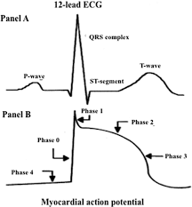 Image result for Early Repolarization