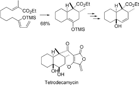 S2 corrections and comments in the preparation of this manuscript, several errors were discovered in the original paper 1 and are reported herein. New Domino Silyl Enol Ether Reactions In The Synthesis Of A Tetrodecamycin Fragment He 2006 European Journal Of Organic Chemistry Wiley Online Library