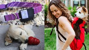Tell us about your puppy so we can build you the perfect box. 52 Perfect Gifts For Dog Lovers And Owners